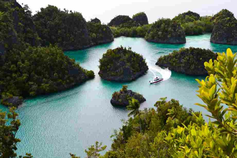 PAPUA